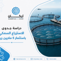 دراسة جدوى مشروع الاستزراع السمكي