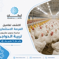 دراسة جدوى مشروع تربية الدواجن